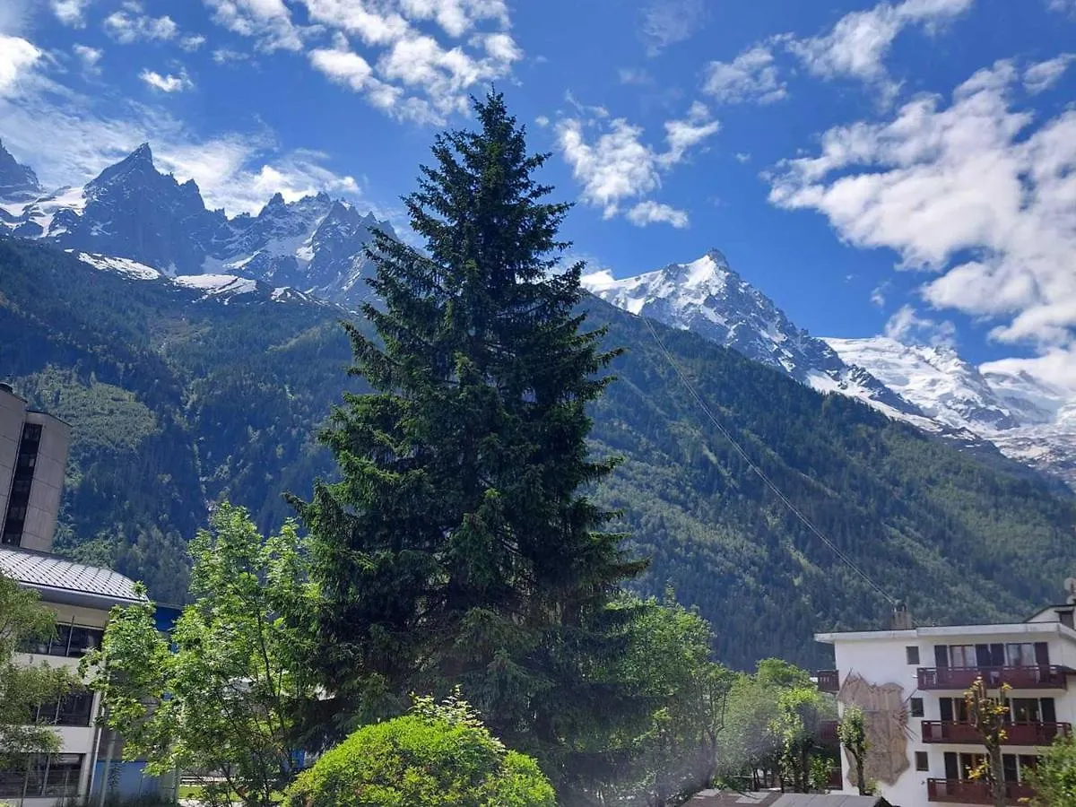 Apartment Charmant 2 Pieces Renove Avec Balcon, Wifi Et Parking, Proche Centre Et Commerces - Fr-1-517-66 Chamonix
